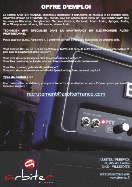 Offre d emploi mixeur son